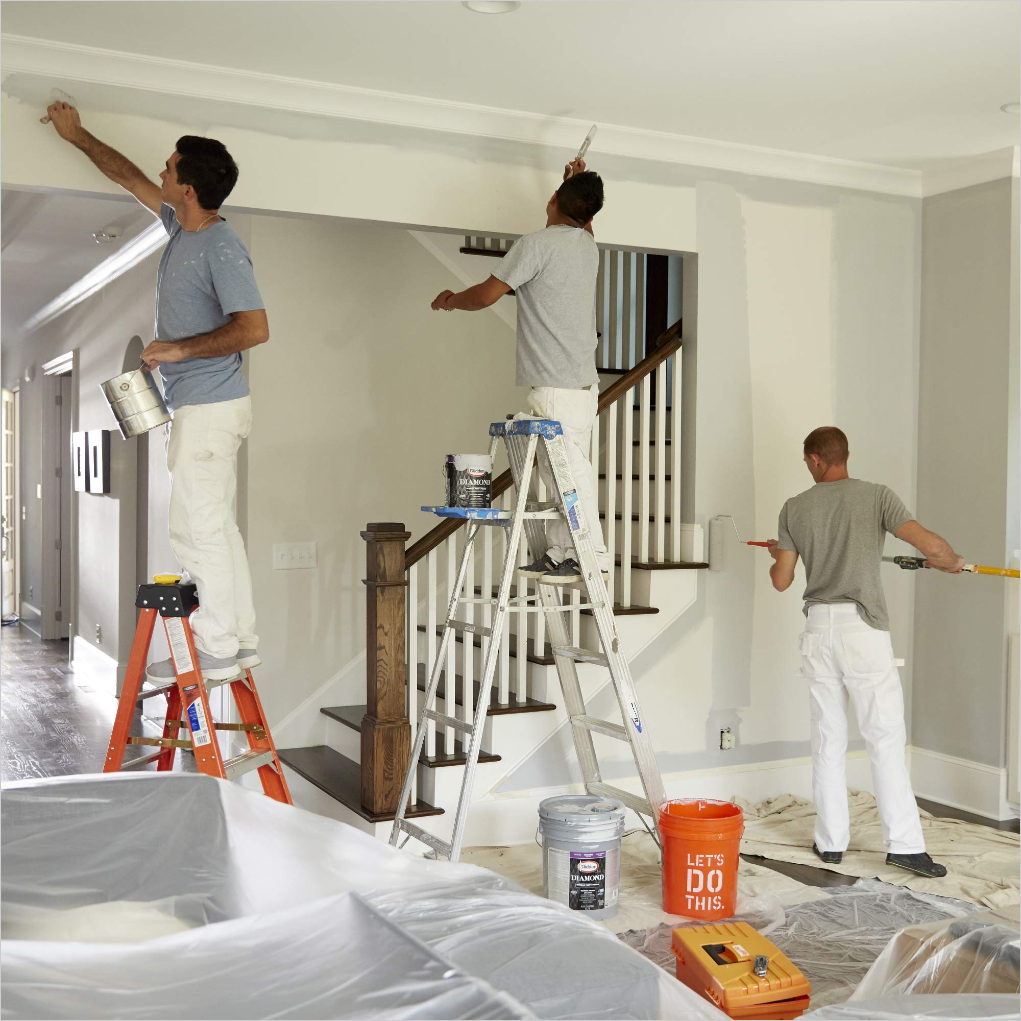 Professional Painting Work